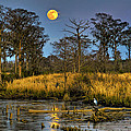 Pawleys Island Marsh Moon