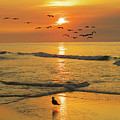 Pawleys Island Sunrise